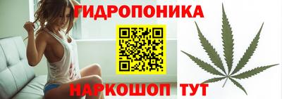 спиды Будённовск