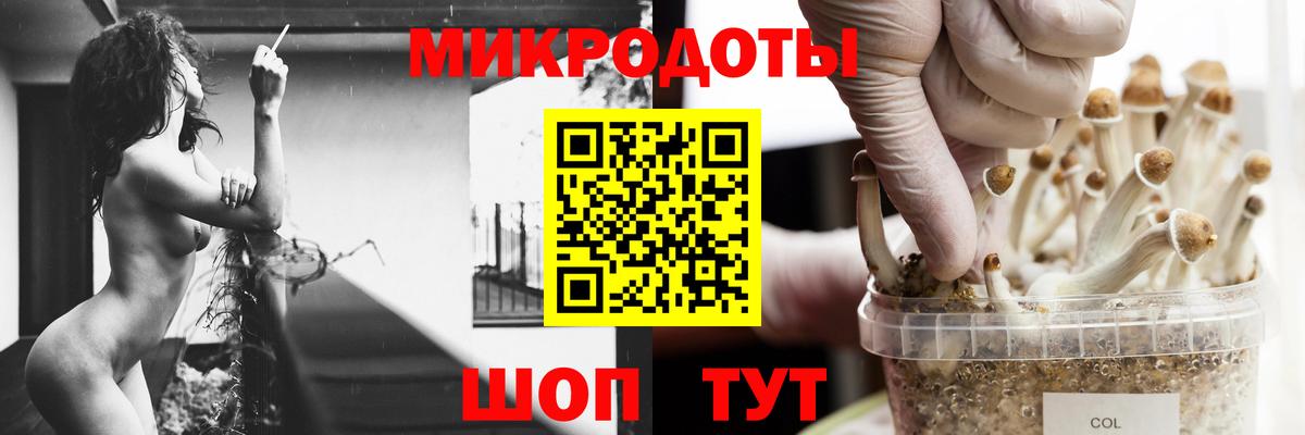 Псилоцибиновые грибы мухоморы Тула
